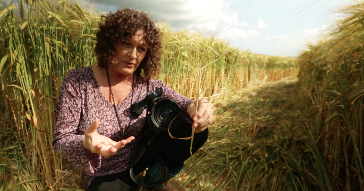 #7 Patty Greer – Crop Circle Film Maker