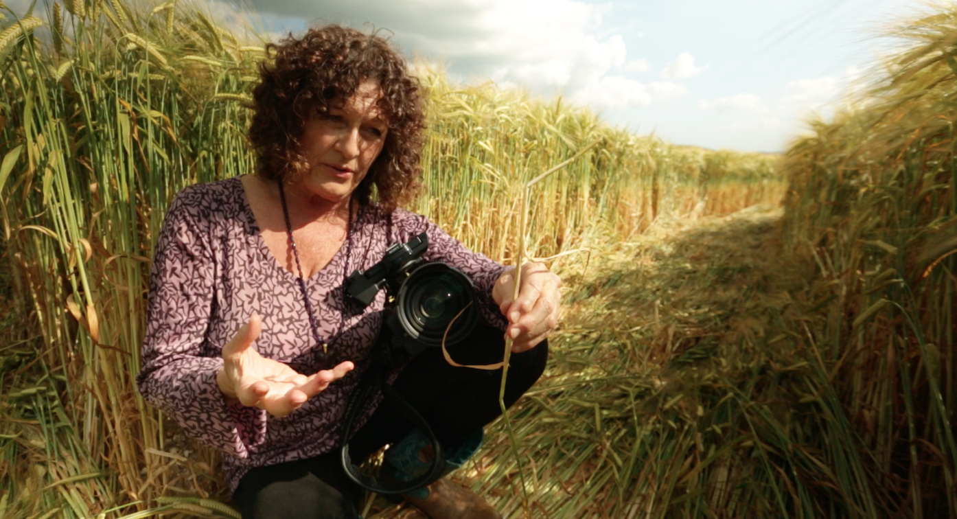 #7 Patty Greer – Crop Circle Film Maker